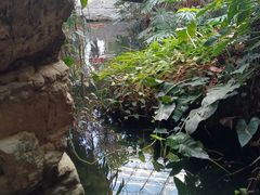 -北京植物园-展览温室