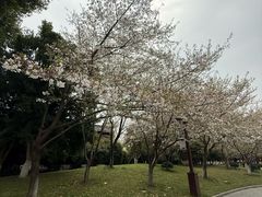 -堤角公园