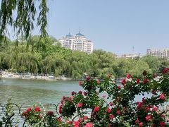 -济南大明湖景区