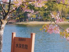 -新江湾城公园