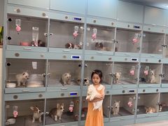 -萌宠之家·腊肠犬·马尔泰·小体犬舍