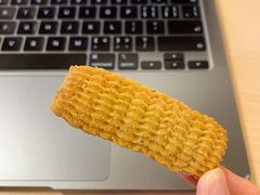 -面包日报