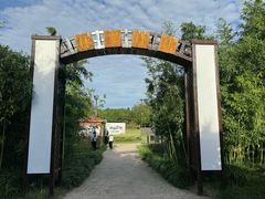 -上海长兴岛郊野公园
