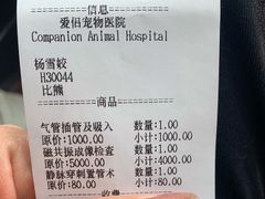 -爱侣宠医·鹦鹉专科·小型哺乳类·异宠专科(灵石路店)