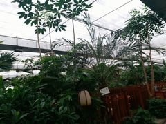 -汤山翠谷生态餐厅