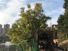 -重庆彩云湖湿地公园