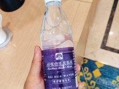 -广州百花山庄度假村(增城万达广场店)