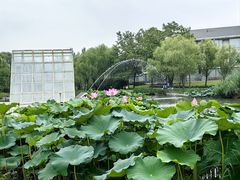 -东方苑自助餐厅(稻香湖景酒店)