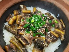 -红星光发煲仔饭(文海店)