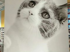 -KKV(深圳宏发大仟里店)