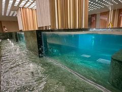 -皇室假期美食水疗会(春风路店)