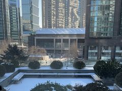 -精德口腔·种植修复·儿牙中心(财富中心店)