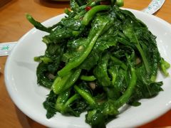 -曾牛肉