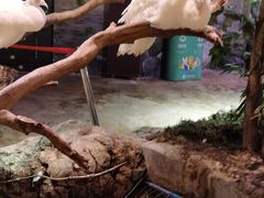 -正佳雨林生态植物园