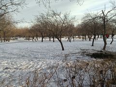 -长春公园(普阳街道)