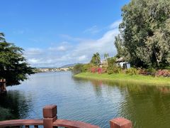 -三亚亚龙湾金棕榈度假酒店