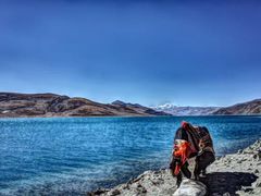 -玛吉阿米·餐吧