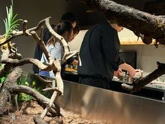 -曲廊院(东四十一条店)