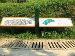 -田心森林公园