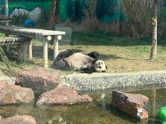 -苏州太湖国家湿地公园