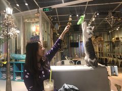-小时光咖啡馆(开森度假森林店)