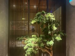 -老头儿油爆虾(星光一期店)