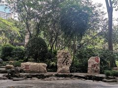 -金花茶公园