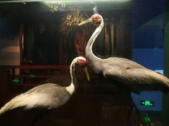 -温州博物馆