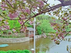 -北岭山森林公园
