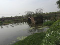 -圩墩遗址公园