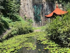 -莫干山风景区