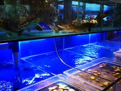 水产区-喜庭海鲜自助(来福士店)