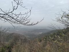 -冶父山国家森林公园