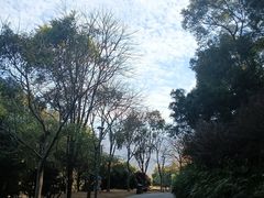 -牛岗山公园