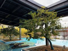 -天龙八部武侠城