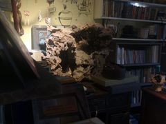-邊城書店