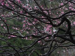 -春暖花开(西溪店)