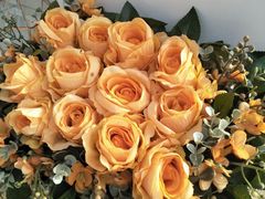 -天津津利华酒店