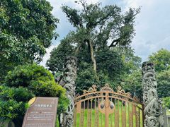 -国恩寺
