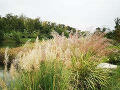 -桂溪生态公园