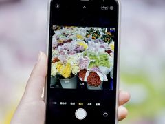 -循礼门鲜花花市(武汉循礼门店)