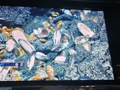 -同济大学四平路校区深海探索馆