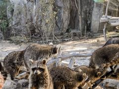-宁波野生动物园