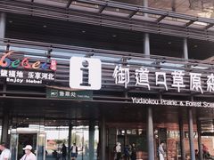 -御道口草原森林风景区