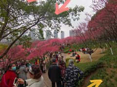 -重庆彩云湖湿地公园