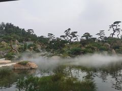 -罗红摄影艺术馆