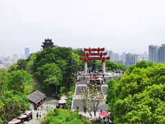 -黄鹤楼公园(黄鹤楼)