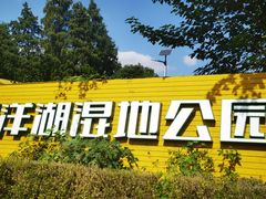 -渌洋湖湿地公园