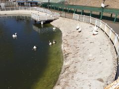 -北京鹿世界主题园