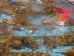 -阿伟海鲜楼·福建菜(延寿店)
